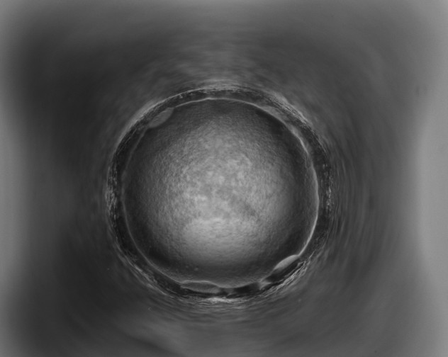 X0000097831400200803201448