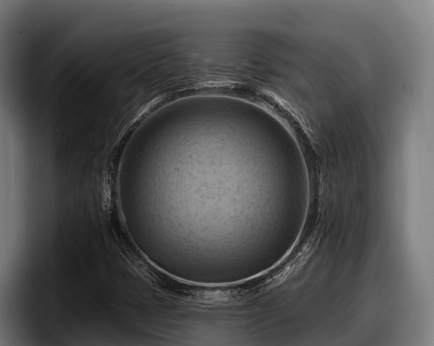 X0000097831401200803201448