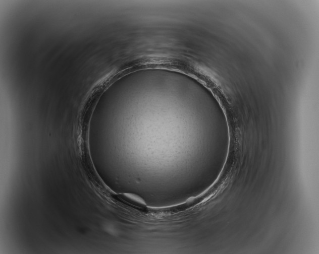 X0000097831403200803201448