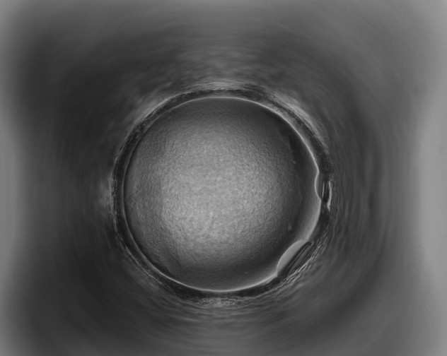 X0000097831404200803201448