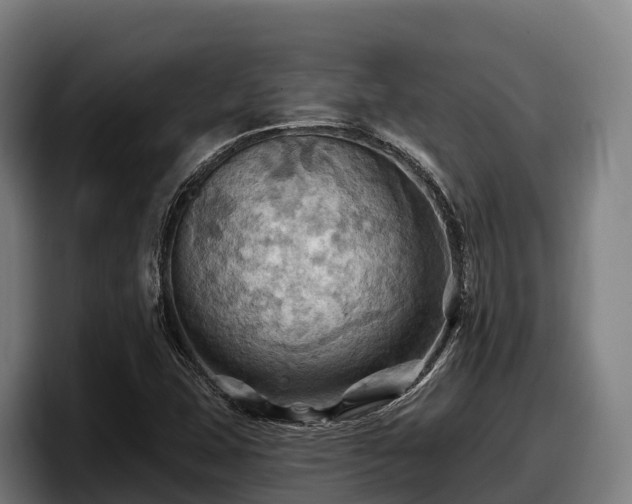 X0000097831407200803201448