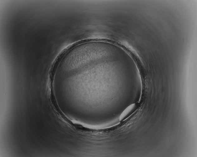 X0000097831408200803201448