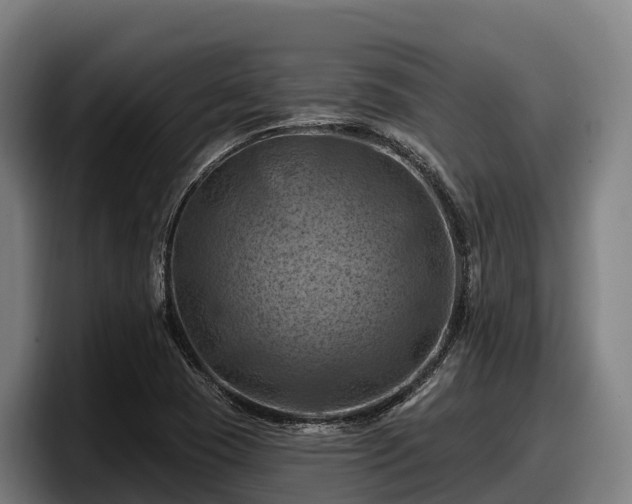 X0000097831409200803201448