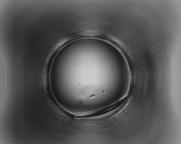 X0000097831410200803201448