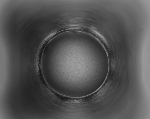 X0000097831411200803201448