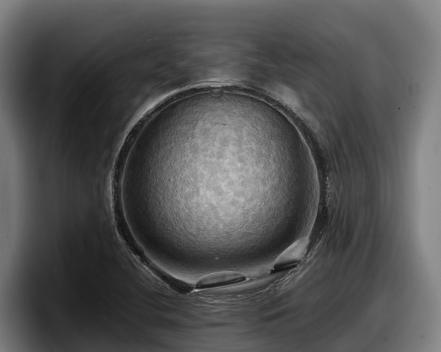 X0000097831412200803201448