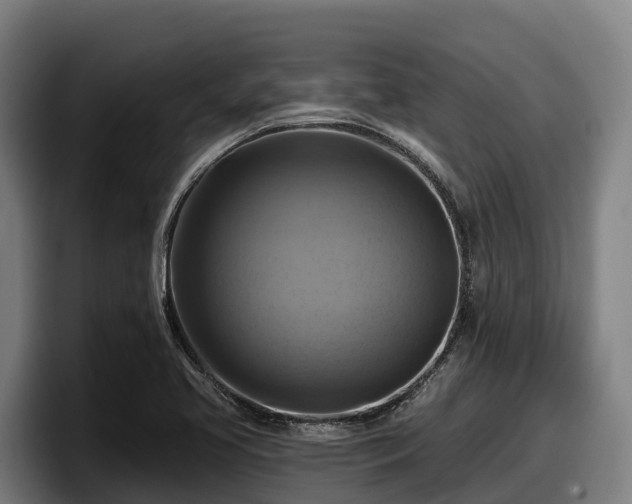 X0000097831413200803201448