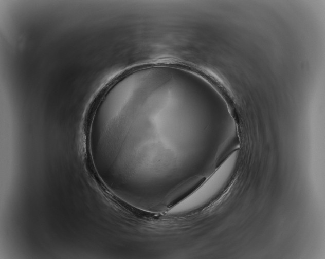 X0000097831414200803201448