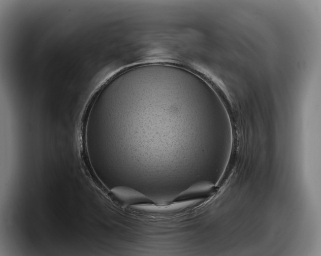 X0000097831415200803201448