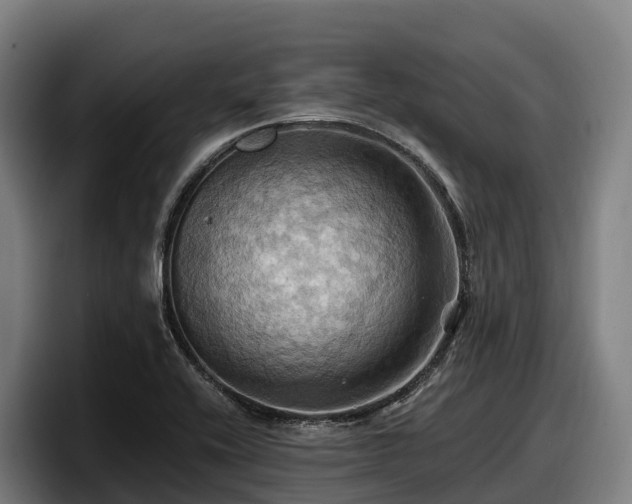 X0000097831416200803201448