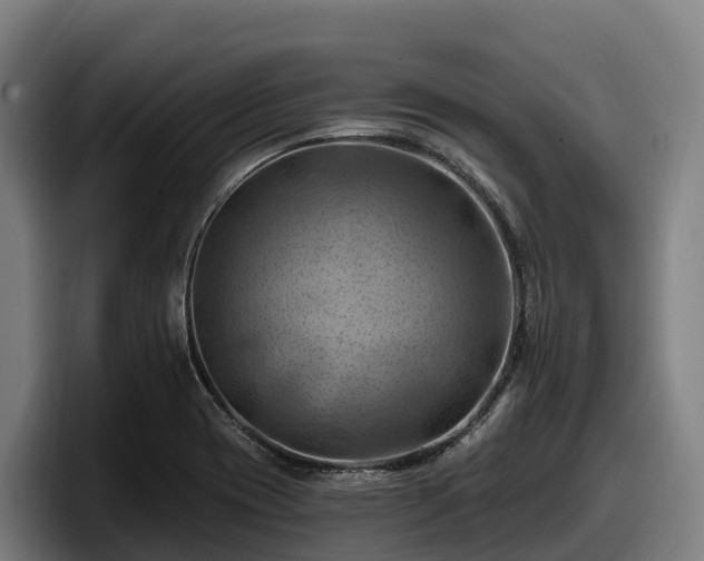 X0000097831417200803201448