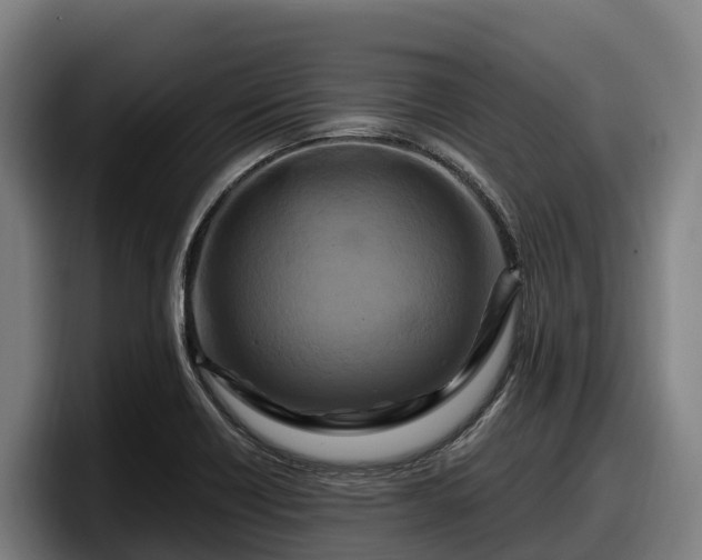X0000097831418200803201448