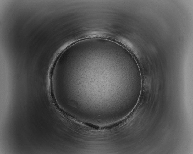 X0000097831419200803201448
