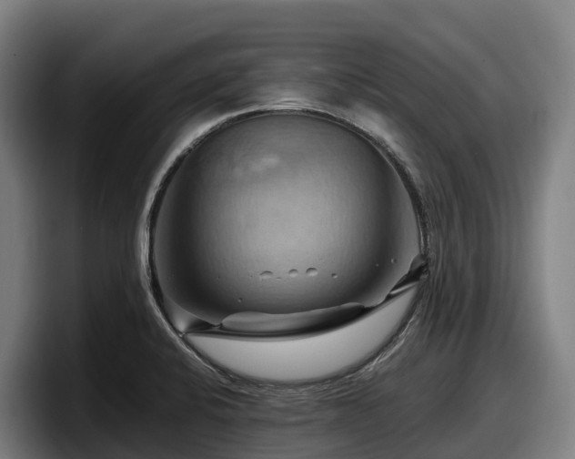 X0000097831424200803201448