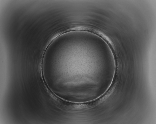X0000097831425200803201448