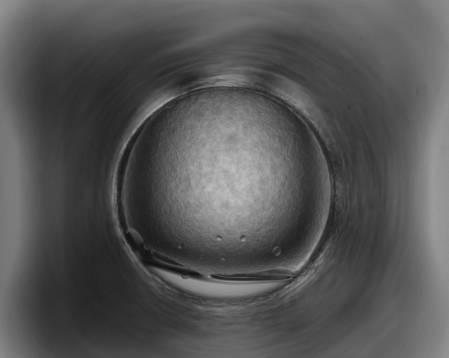 X0000097831426200803201448
