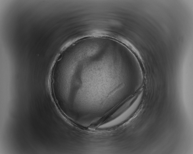 X0000097831429200803201448
