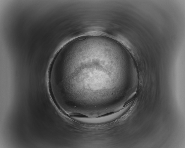 X0000097831430200803201448