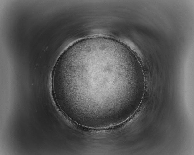 X0000097831431200803201448