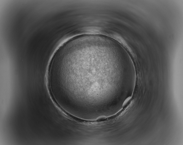 X0000097831432200803201448