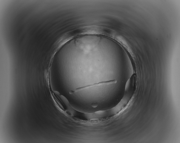 X0000097831433200803201448