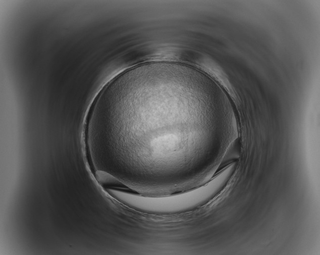 X0000097831434200803201448