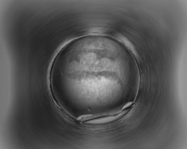 X0000097831435200803201448