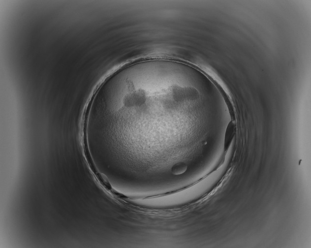 X0000097831437200803201449