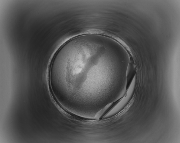 X0000097831438200803201449