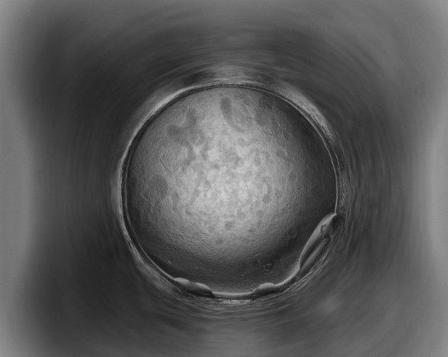 X0000097831439200803201449