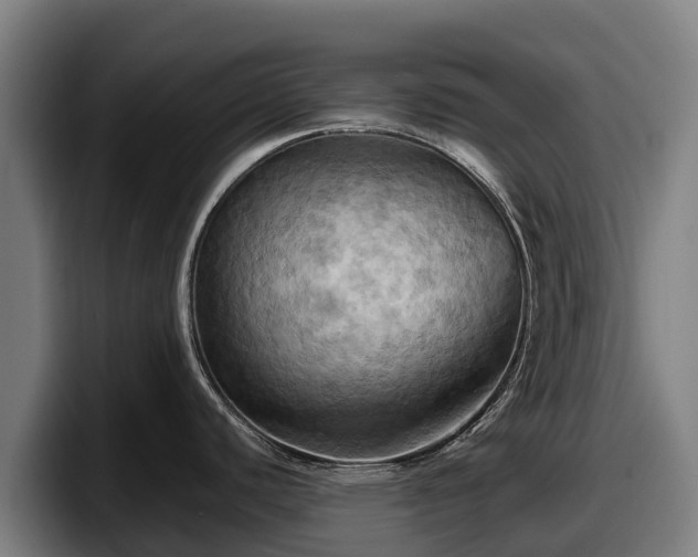 X0000097831440200803201449