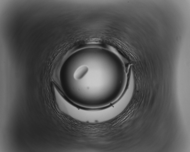 X0000097831441200803201448