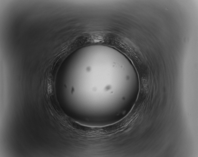 X0000097831442200803201448