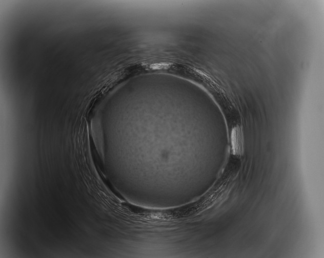 X0000097831443200803201448