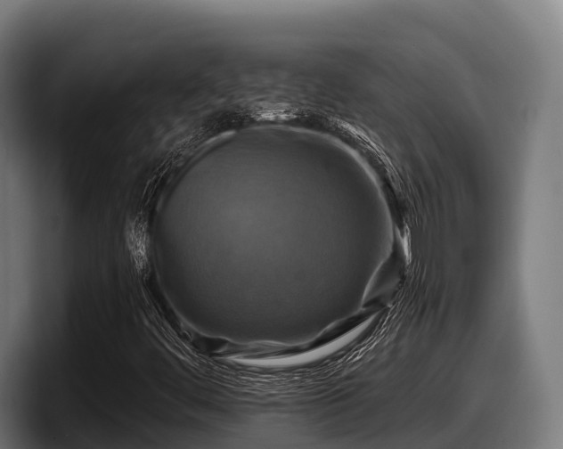 X0000097831444200803201448