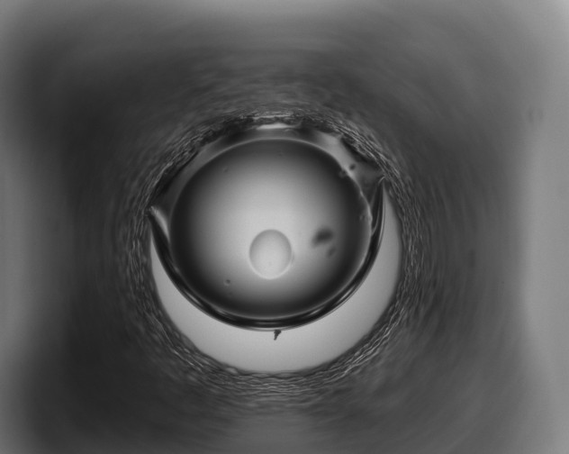 X0000097831445200803201448
