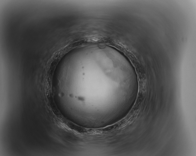X0000097831446200803201448