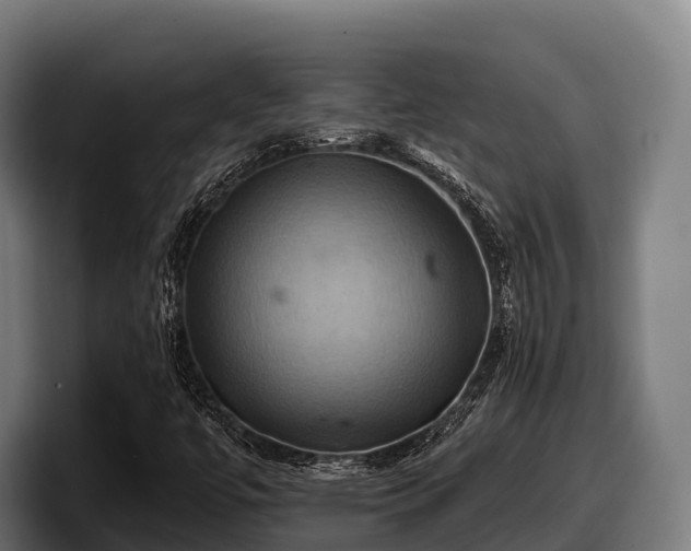 X0000097831447200803201448