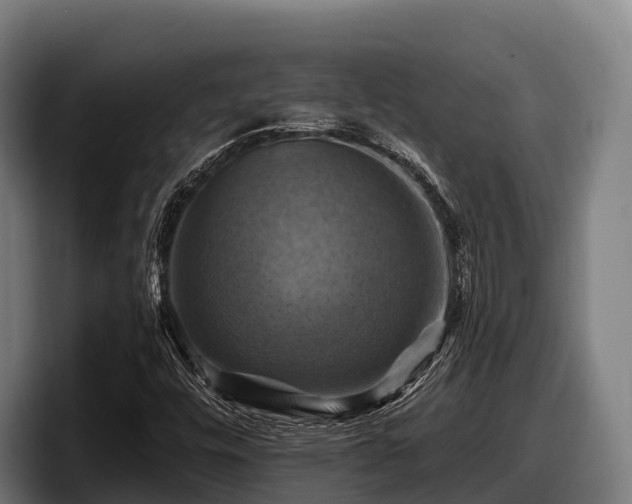 X0000097831448200803201448