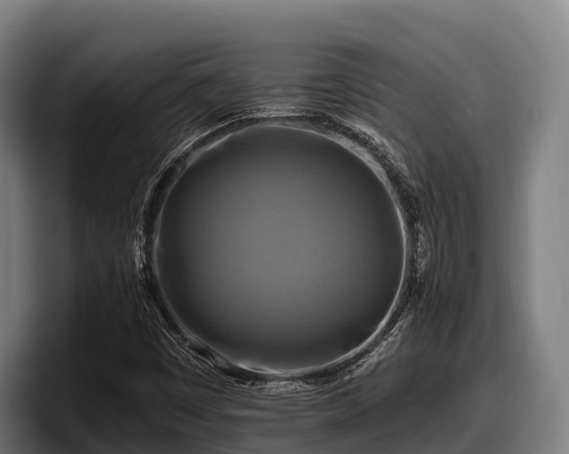 X0000097831449200803201448