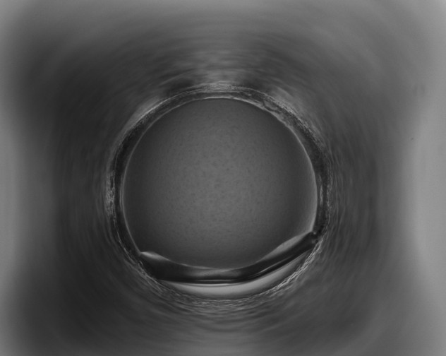 X0000097831450200803201448