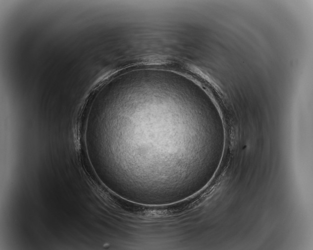 X0000097831451200803201448