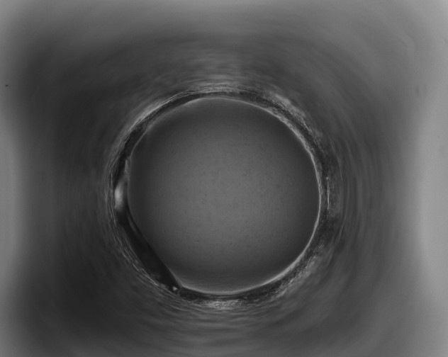 X0000097831453200803201448
