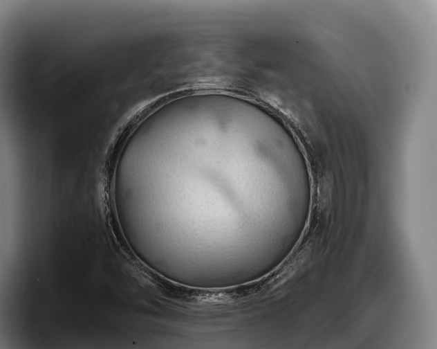 X0000097831454200803201448