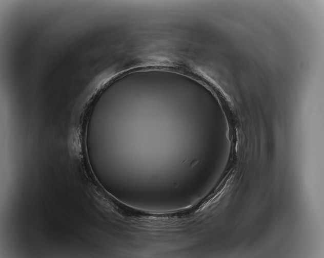 X0000097831455200803201448