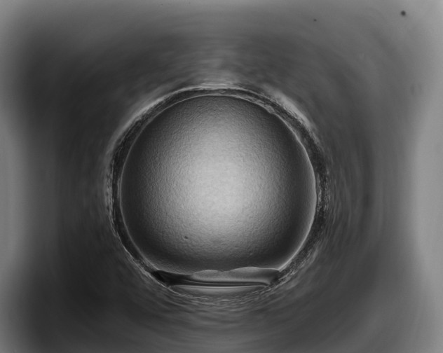 X0000097831456200803201448