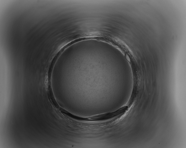 X0000097831457200803201448