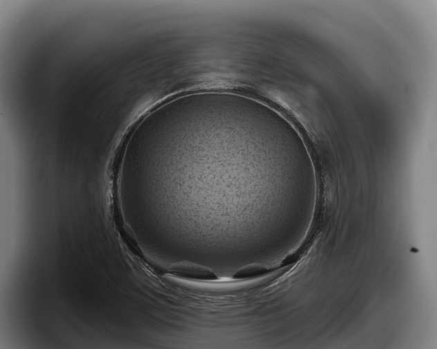 X0000097831459200803201448