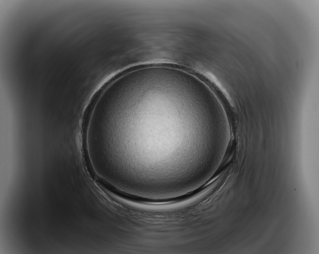 X0000097831460200803201448