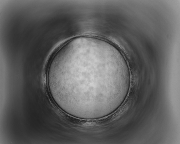 X0000097831462200803201448